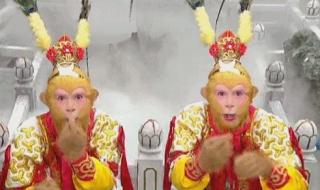 新西游记真假美猴王 新西游记真假美猴王